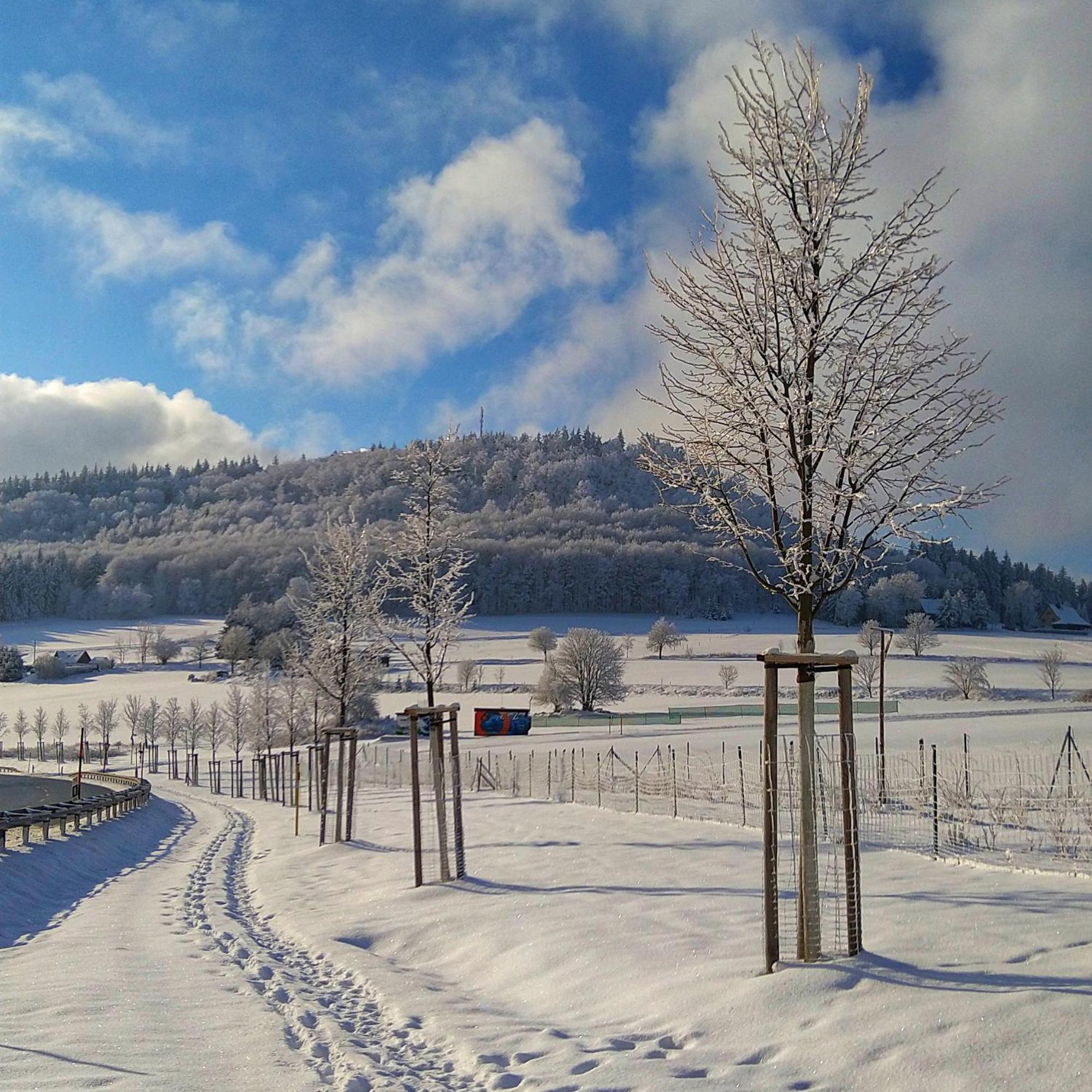 Kleine Fewo Peter In Baerenstein المظهر الخارجي الصورة